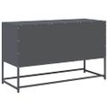vidaXL TV skrinka antracitová 100,5x39x60,5 cm oceľ