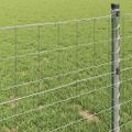 vidaXL Euro plot 1,2 x 10 m Železo potiahnuté PVC