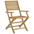 vidaXL Skladacie stoličky 2 ks 54,5x61,5x86,5 cm Masívne drevo akácia