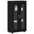 vidaXL Servírovacia skriňa FLORIN 55,5 x 29 x 100 cm Čierna