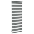 vidaXL Zebra roleta tmavošedá 55x100 cm šírka látky 50,9 cm polyester