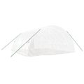 vidaXL Fóliovník s oceľovým rámom biely 36 m² 6x6x2,85 m