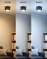 Q-36AD LED Stropní bodové světlo 3CCT černé QTEC