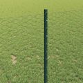 vidaXL Hexagonálny plot s stĺpom 100 x 1 m PVC potiahnutá oceľ Zelená