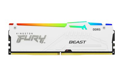 Kingston FURY Beast EXPO/DDR5/16GB/6000MHz/CL30/1x16GB/RGB/White