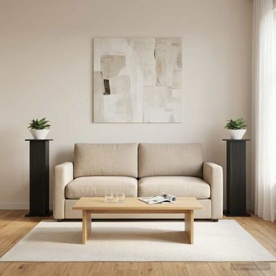vidaXL Stojan na rastliny 2 pcs Čierna 30,5 x 30 x 100,5 cm