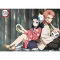 Sada plagátov Demon Slayer - 9 ks