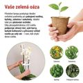 Pozemná lampa EMOS Z7902 LED GROW 8 W, časovač, stmievateľná, biela