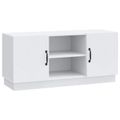 vidaXL TV skrinka Biela 102 x 34,5 x 47 cm Kompozitné drevo