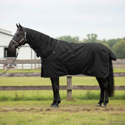vidaXL Plášť pre kone Tmavozelená a čierna 75 cm Polyester