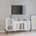 vidaXL TV skrinka biela 100x35x55 cm spracované drevo