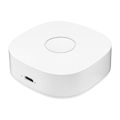 Inteligentná domácnosť WS2GW-R WiFi