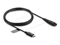 Delock - Elektrický kabel - USB-C (M) do 2 piny (M) - 5 V - 1 A - 1.2 m - cerná