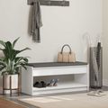 vidaXL Predsieňová lavica Biely 103 x 38 x 45 cm