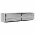 vidaXL TV skrinka 100 x 31 x 25,5 cm Sivý dub sonoma Kompozitné drevo