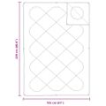 vidaXL 2-v-1 Prikrývka 220 x 155 x 10 cm Zima Polyester Biela