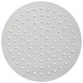 vidaXL sprchová hlavica do dažďa Nehrdzavejúca oceľ 304 20 cm Okrúhla