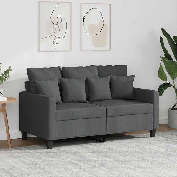 vidaXL 2-miestna pohovka tmavosivá 120 cm látka