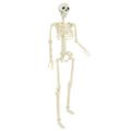 vidaXL Halloween kostra 2 ks Biela 85 cm PVC