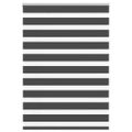 vidaXL Zebra roleta čierna 100x100 cm šírka látky 95,9 cm polyester