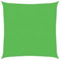 vidaXL Tieniaca plachta 160 g/m² bledozelená 2x2 m HDPE