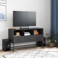 vidaXL TV skrinka čierna 100,5x39x60,5 cm oceľ