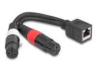Adaptérový kábel RJ45 jack na 2 x XLR 3 pin