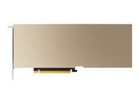 Grafický počítačový procesor - A10 - 24 GB GDDR6 - PCIe 4.0 x16 - bez ventilátora