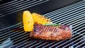 TEESA TSA0080 BBQ 2000 Plynový záhradný gril čierny