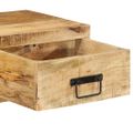 vidaXL Nástenná TV skrinka 80x30x19 cm surový mangovníkový masív