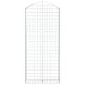vidaXL Oblúkový gabionový kôš 100x30x220/240 cm pozinkované železo