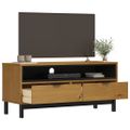 vidaXL TV skrinka FLAM 110x40x50 cm masívna borovica