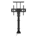 MKF-19DM648