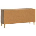 vidaXL TV skrinka 102 x 34,5 x 50 cm Dub artisan Kompozitné drevo