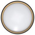 Modee Okrúhle stropné LED svietidlo CLG1BK 30W 3CCT+RGB 2000lm, čierna, ovládač (ML-CLFG1BK)