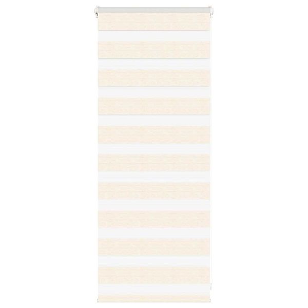vidaXL Zebra roleta 60x100 cm šírka látky 55,9 cm polyester