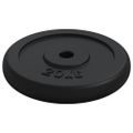 vidaXL Závažie 20 kg liatina