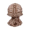Lebka Cthulhu (20 cm)