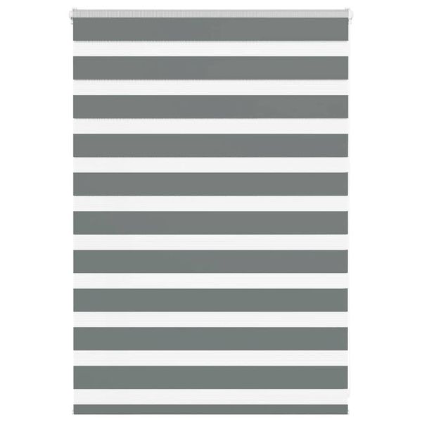 vidaXL Zebra roleta tmavošedá 100x100 cm šírka látky 95,9 cm polyester
