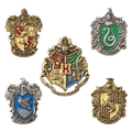 Sada odznakov bradavických koľají