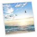 vidaXL Fotorámiky na stôl, koláž 5 ks, biele 20x20 cm, MDF