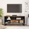 vidaXL TV skrinka 100x33x46 cm recyklovaný masív a kompozitné drevo