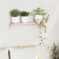 vidaXL Nástenný zavesený regál Nástenný Prírodná 62 x 10 x 12,5 cm