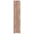 vidaXL Regál na topánky hnedý 45x24x117 cm spracované drevo