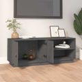 vidaXL TV skrinka sivá 105x34x40 cm masívna borovica