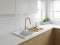 Reginox Modena 1000.10 White pure