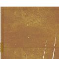 vidaXL Záhradná brána 100x100 cm, oceľ Corten, dizajn s trávou