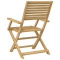 vidaXL Skladacie stoličky 2 ks 54,5x61,5x86,5 cm Masívne drevo akácia