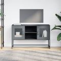 vidaXL TV skrinka antracitová 100,5x39x60,5 cm oceľ