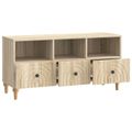 vidaXL TV skrinka 102 x 34,5 x 50 cm Sonoma dub Konštruované drevo